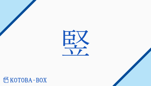 竪（ジュ/こども##こもの##た(つ)##たて）の読み方や使い方詳細