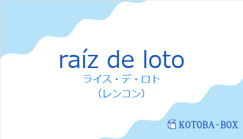ライス・デ・ロト（スペイン語:raíz de lotoの発音と意味）