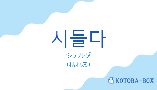 シテルダ（韓国語:시들다の発音と意味）