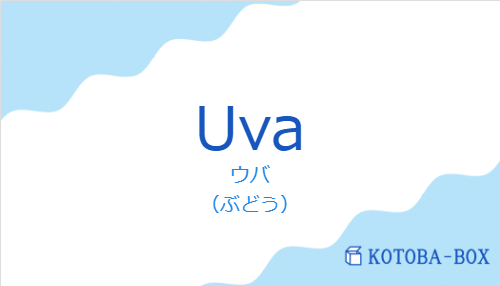 ウバ（スペイン語:Uvaの発音と意味）