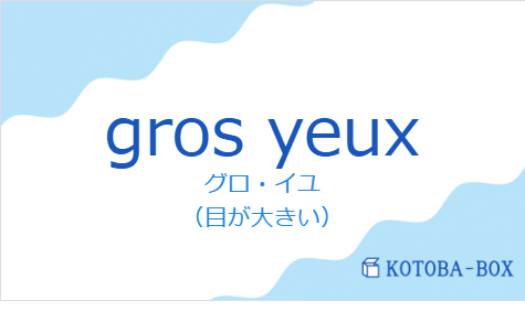 グロ・イユ（フランス語:gros yeuxの発音と意味）