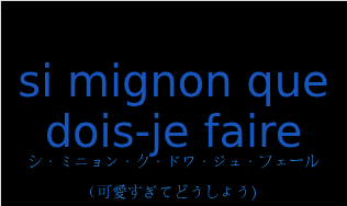 シ・ミニョン・ク・ドワ・ジュ・フェール（フランス語:si mignon que dois-je faireの発音と意味）