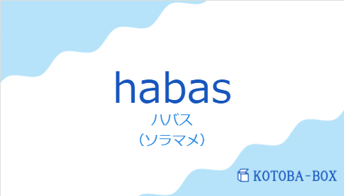 ハバス（スペイン語:habasの発音と意味）