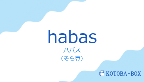 ハバス（スペイン語:habasの発音と意味）