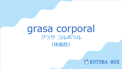 グラサ コルポラル（スペイン語:grasa corporalの発音と意味）