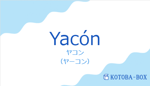 ヤコン（スペイン語:Yacónの発音と意味）