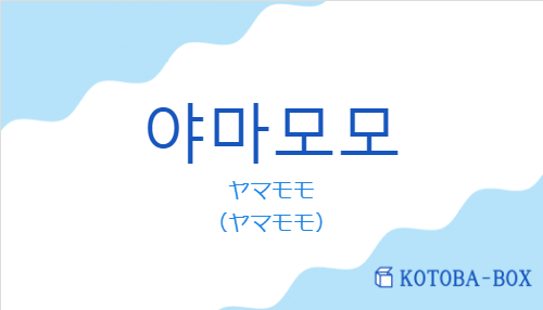 ヤマモモ(韓国語:야마모모の発音と意味)