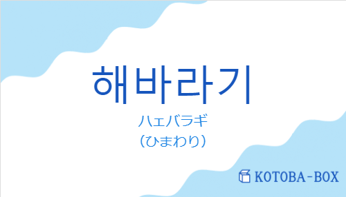 ハェバラギ（韓国語:해바라기の発音と意味）