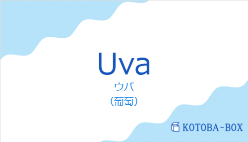 ウバ（スペイン語:Uvaの発音と意味）