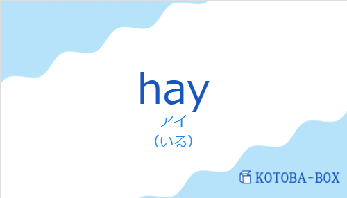 アイ(スペイン語:hayの発音と意味)