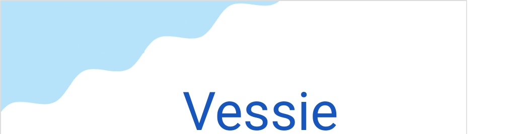 ベシー(フランス語:Vessieの発音と意味)