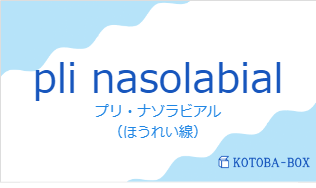 プリ・ナゾラビアル(フランス語:pli nasolabialの発音と意味)