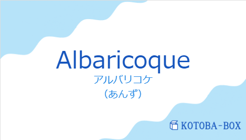 アルバリコケ（スペイン語:Albaricoqueの発音と意味）