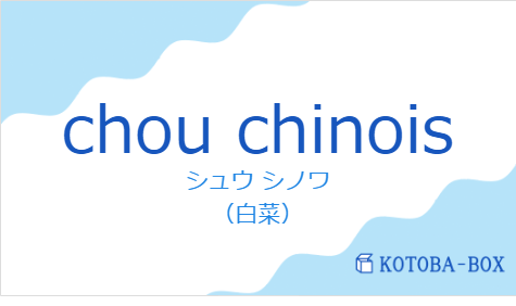 シュウ シノワ(フランス語:chou chinoisの発音と意味)