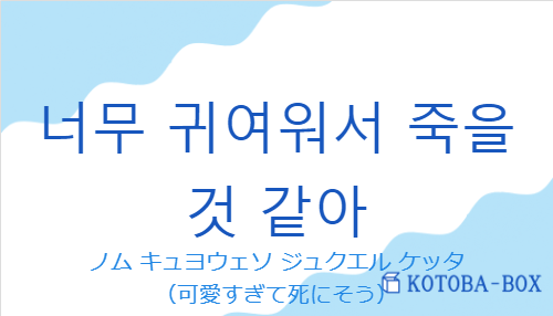 ノム キュヨウェソ ジュクエル ケッタ（韓国語:너무 귀여워서 죽을 것 같아の発音と意味）