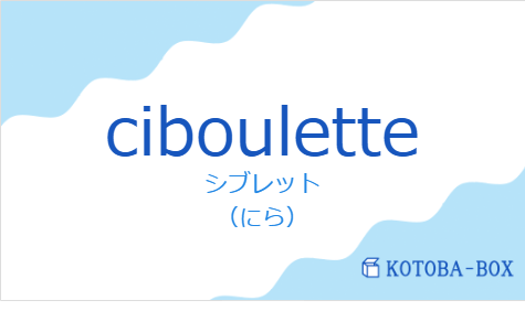 シブレット（フランス語:cibouletteの発音と意味）