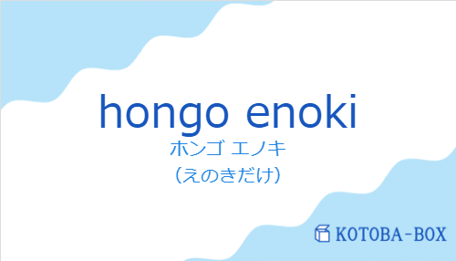 ホンゴ エノキ（スペイン語:hongo enokiの発音と意味）