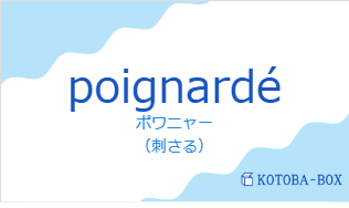 ポワニャー（フランス語:poignardéの発音と意味）