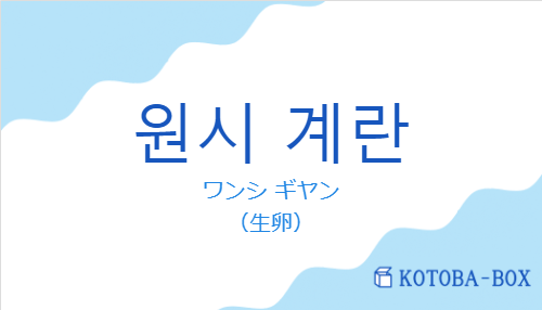 ワンシ ギヤン（韓国語:원시 계란の発音と意味）