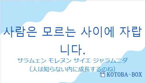 サラムェン モレヌン サイエ ジャラムニダ（韓国語:사람은 모르는 사이에 자랍니다.の発音と意味）
