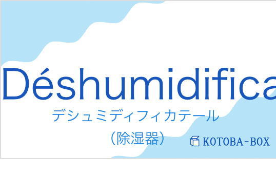 デシュミディフィカテール(フランス語:Déshumidificateurの発音と意味)