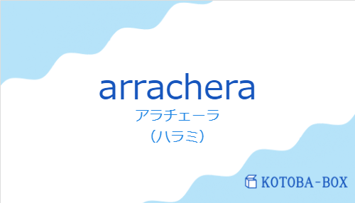 アラチェーラ(スペイン語:arracheraの発音と意味)