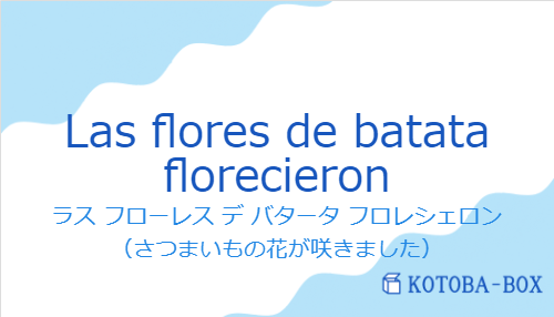 ラス フローレス デ バタータ フロレシェロン（スペイン語:Las flores de batata florecieronの発音と意味）