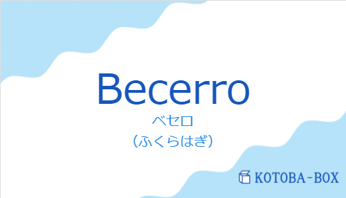 ベセロ（スペイン語:Becerroの発音と意味）