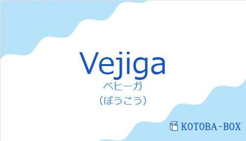 ベヒーガ（スペイン語:Vejigaの発音と意味）