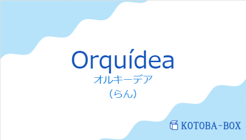 オルキーデア（スペイン語:Orquídeaの発音と意味）