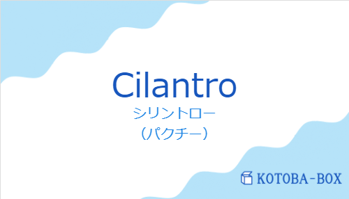 シリントロー(スペイン語:Cilantroの発音と意味)
