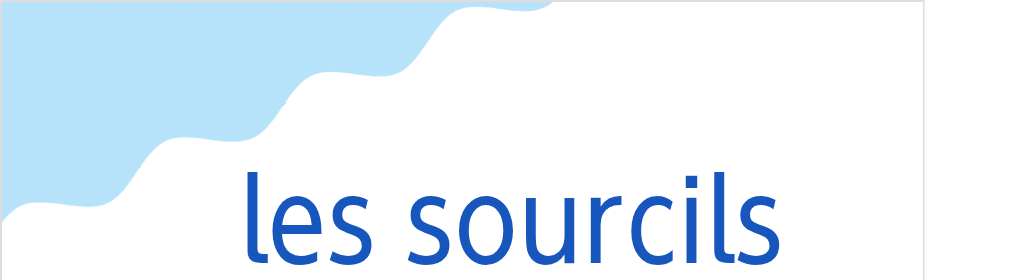 ル・スールシイ（フランス語:les sourcilsの発音と意味）