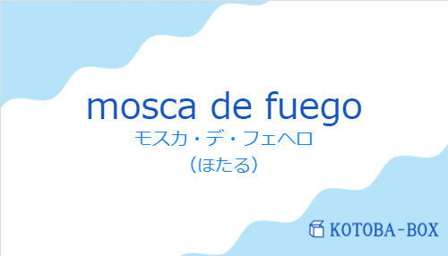モスカ・デ・フェヘロ（スペイン語:mosca de fuegoの発音と意味）