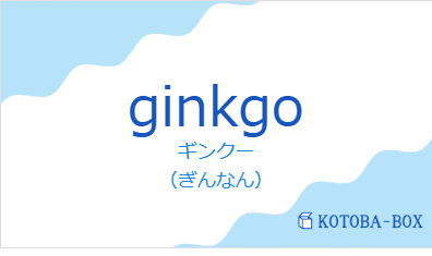 ギンクー(フランス語:ginkgoの発音と意味)