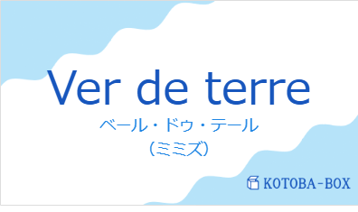 ベール・ドゥ・テール(フランス語:Ver de terreの発音と意味)
