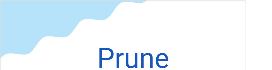 プルーヌ(フランス語:Pruneの発音と意味)