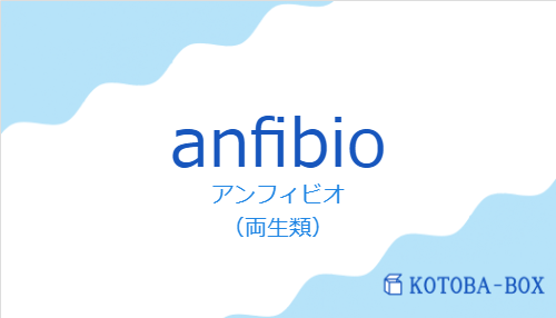 アンフィビオ（スペイン語:anfibioの発音と意味）