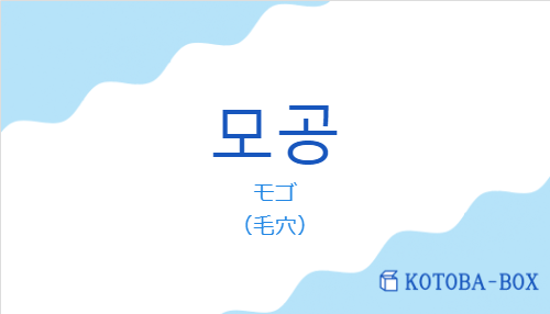 モゴ（韓国語:모공の発音と意味）