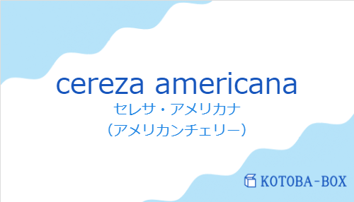 セレサ・アメリカナ（スペイン語:cereza americanaの発音と意味）