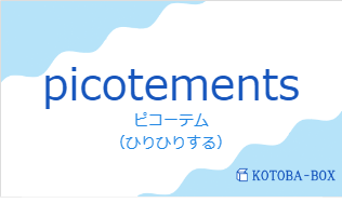 ピコーテム（フランス語:picotementsの発音と意味）