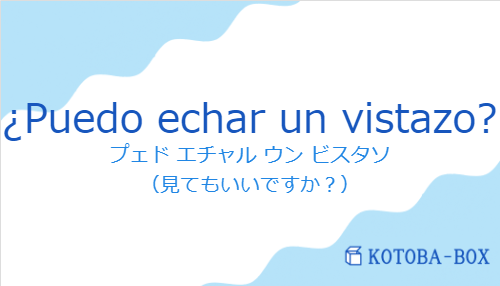 プェド エチャル ウン ビスタソ（スペイン語:¿Puedo echar un vistazo?の発音と意味）