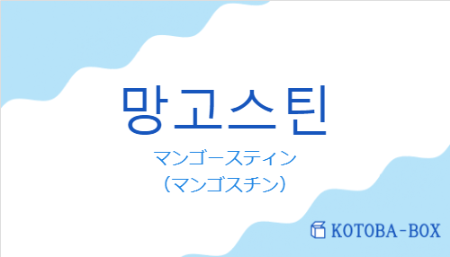 マンゴースティン（韓国語:망고스틴の発音と意味）