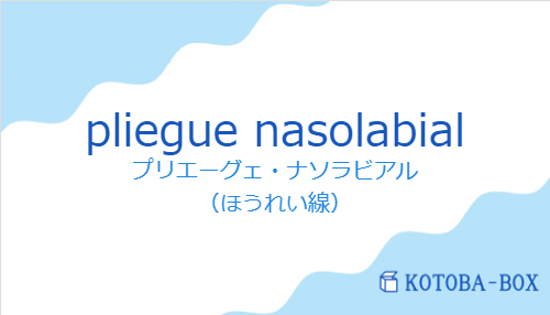 プリエーグェ・ナソラビアル（スペイン語:pliegue nasolabialの発音と意味）