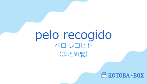 ペロ レコヒド（スペイン語:pelo recogidoの発音と意味）