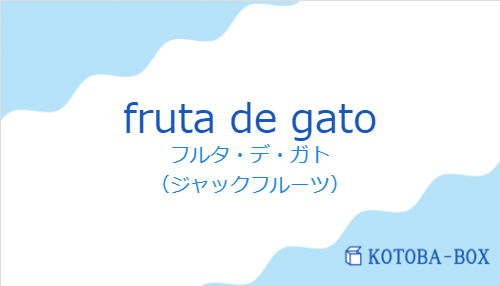 フルタ・デ・ガト（スペイン語:fruta de gatoの発音と意味）