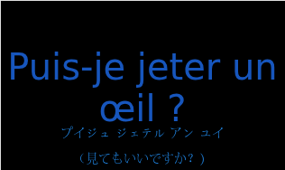 プイジュ ジェテル アン ユイ（フランス語:Puis-je jeter un œil ?の発音と意味）