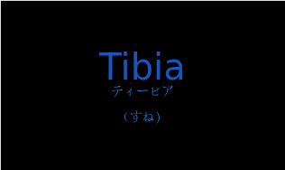 ティービア（フランス語:Tibiaの発音と意味）