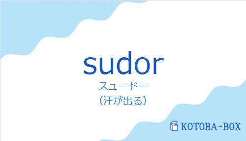 スュードー(スペイン語:sudorの発音と意味)