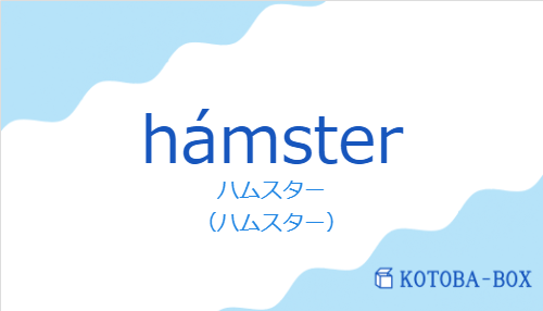 ハムスター(スペイン語:hámsterの発音と意味)