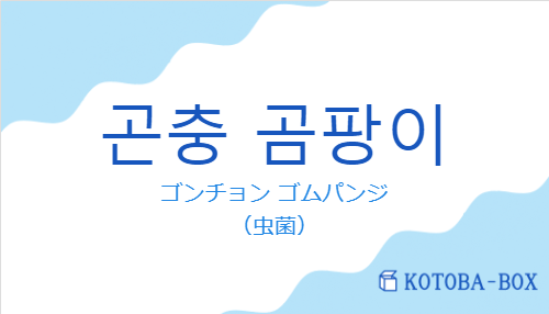 ゴンチョン ゴムパンジ（韓国語:곤충 곰팡이の発音と意味）